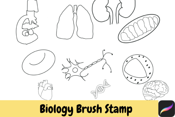 Bring Science to Life: Biology Procreate Hand Drawn Brush Stamps