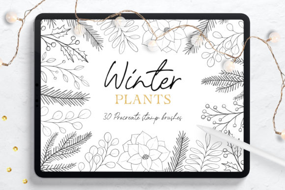 Winter Plants Procreate Stamp Brushes for Creative Projects